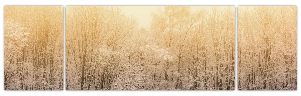 Obraz mroźnego lasu (170x50 cm)