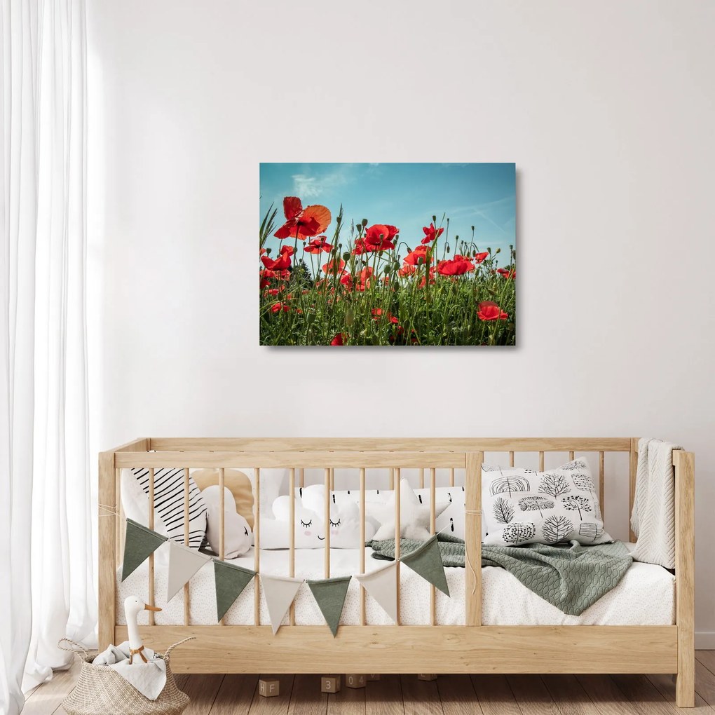 Obraz na szkle - Na polu maków (70x50 cm)