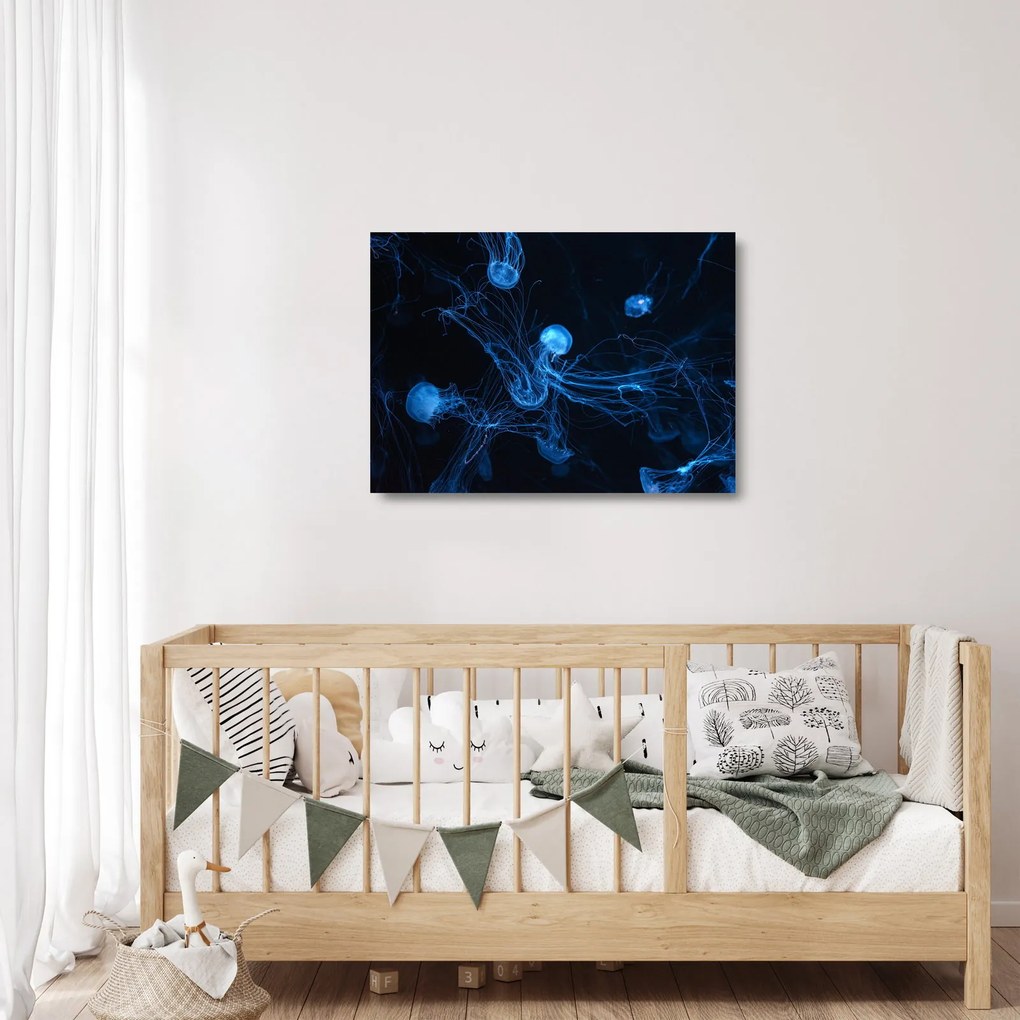 Obraz na szkle - Meduza (70x50 cm)