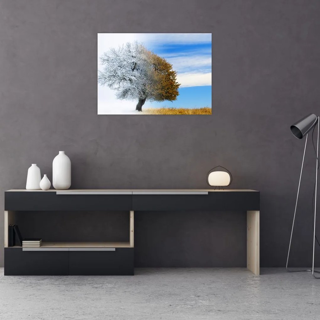 Obraz na szkle - Zmiana pór roku (70x50 cm)