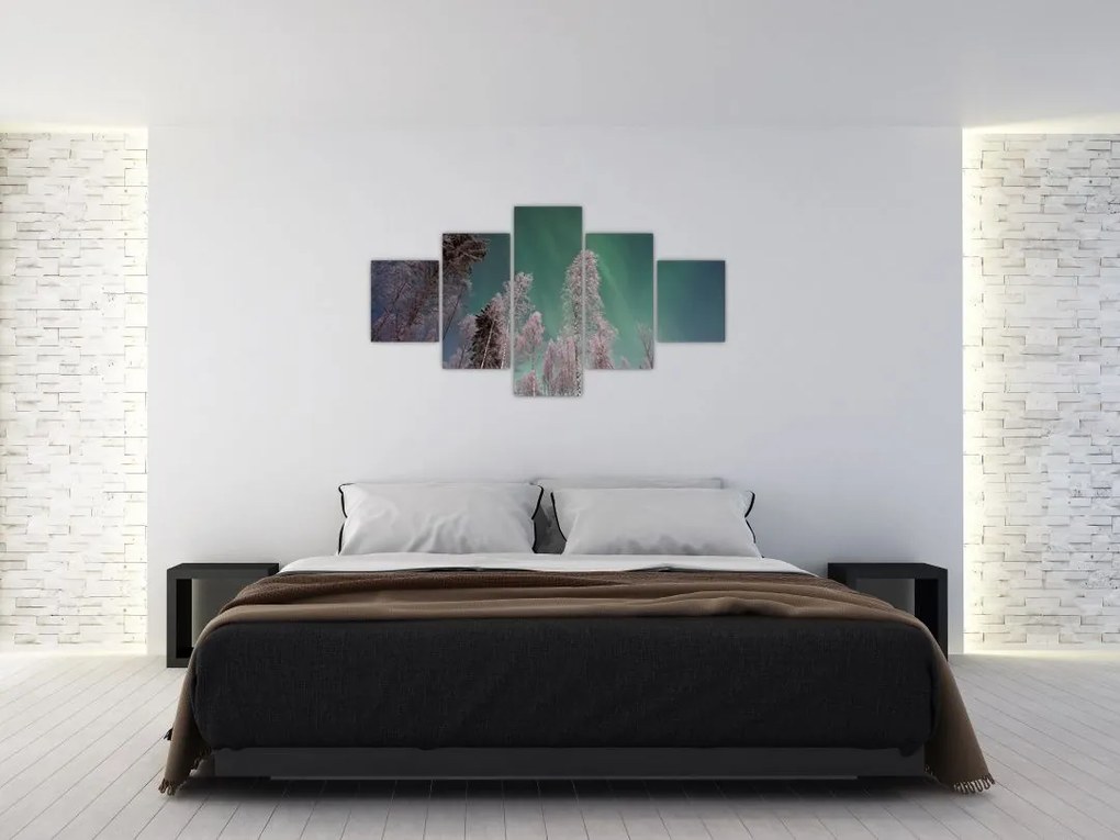 Obraz zorzy polarnej nad zamarzniętymi drzewami (125x70 cm)