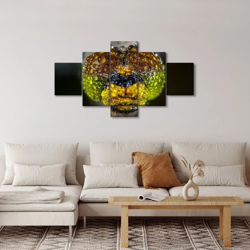 Szczegółowy obraz oczu owadów (125x70 cm)