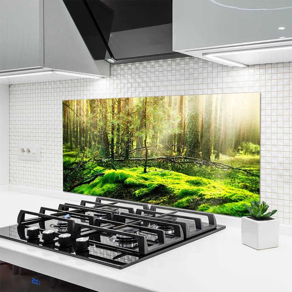 Panel Szklany do Kuchni Naturalny Zielony Mech