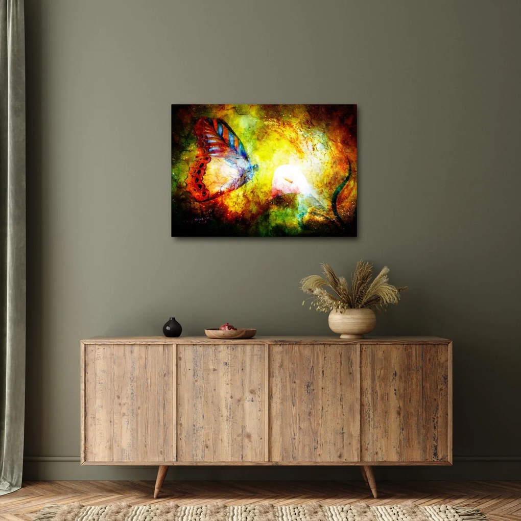 Obraz - Kosmiczny motyl (70x50 cm)