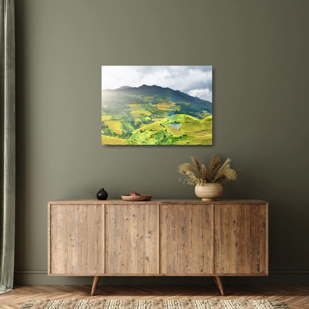 Obraz na szkle - plantacja (70x50 cm)