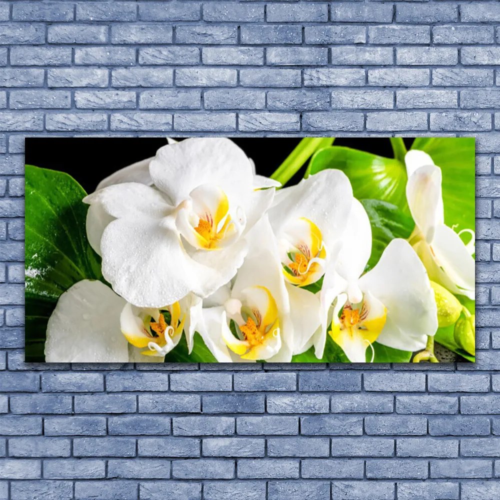 Obraz Canvas Orchidea Kwiaty Natura