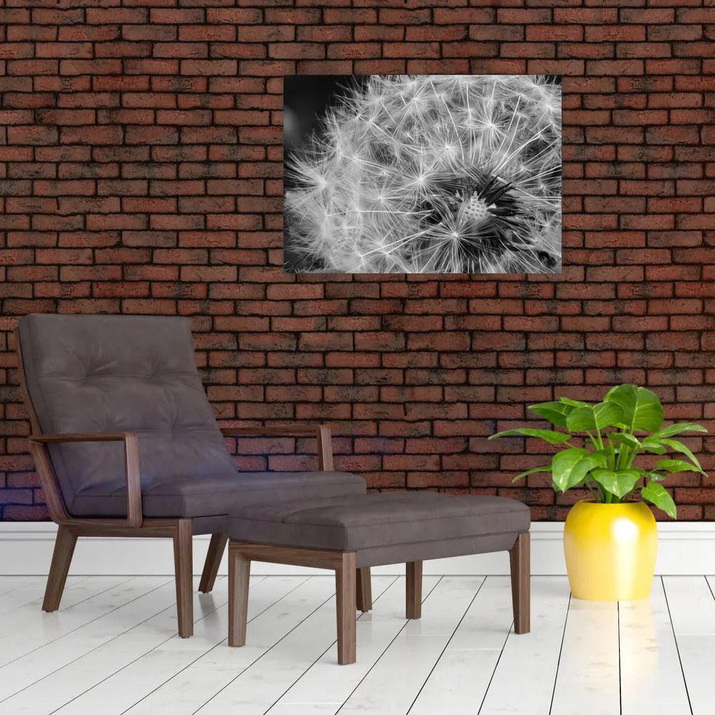 Obraz na szkle - nasiona dmuchawca (70x50 cm)