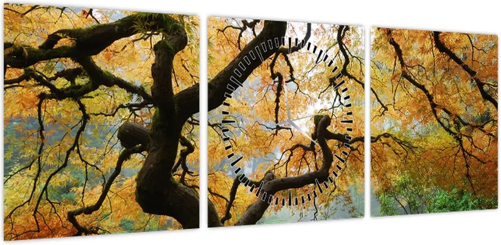 Obraz żółtego klonu japońskiego, Portland, Oregon (z zegarem) (90x30 cm)