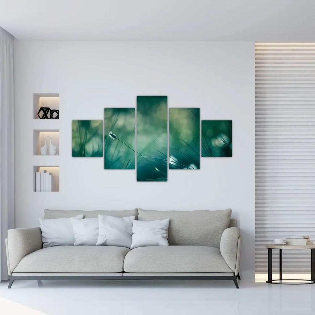 Obraz - Szczegół trawy (125x70 cm)