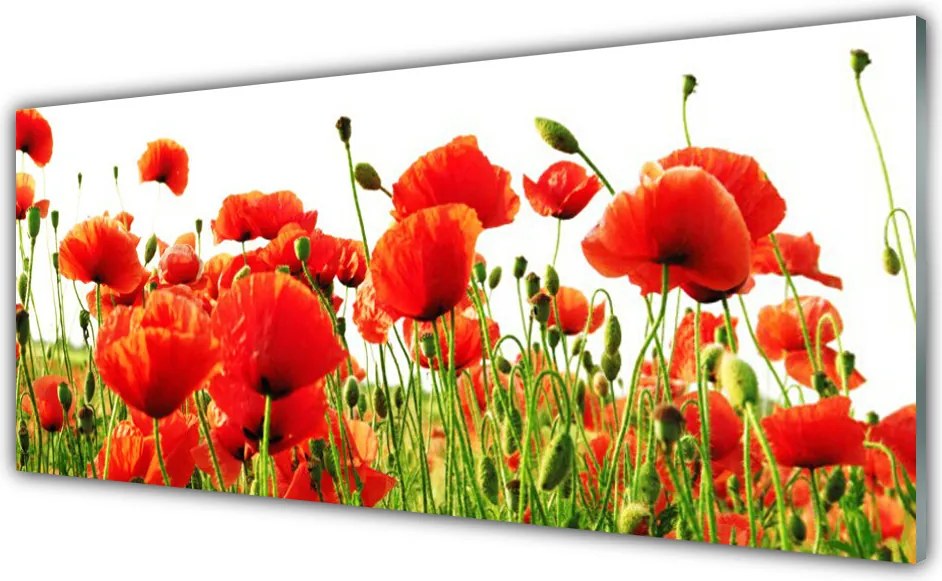 Panel Szklany Dzika Łąka Makowa