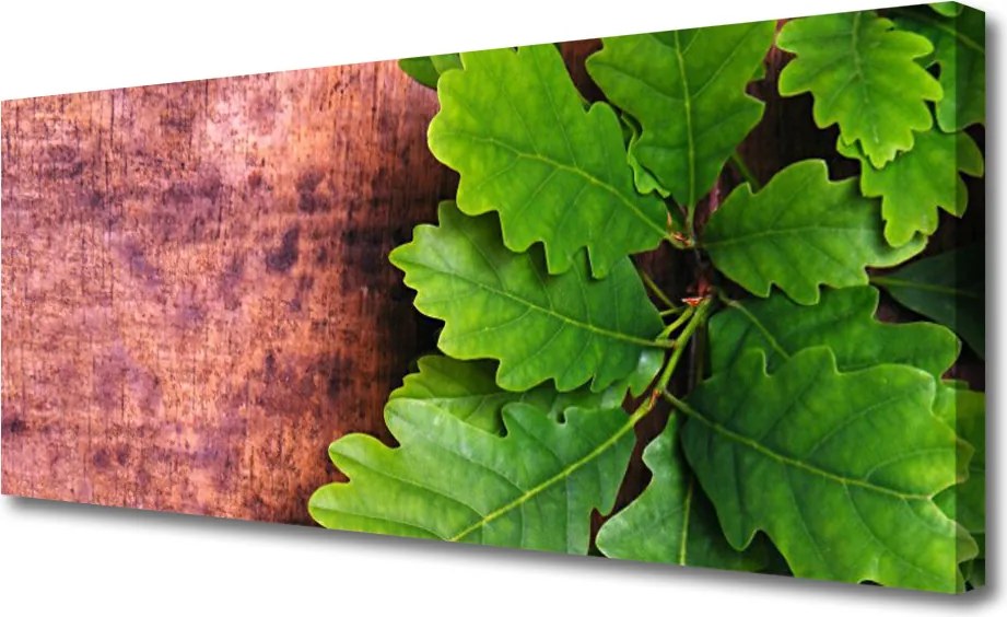 Zdjęcie na płótnie Szlachetne Liście Dębu