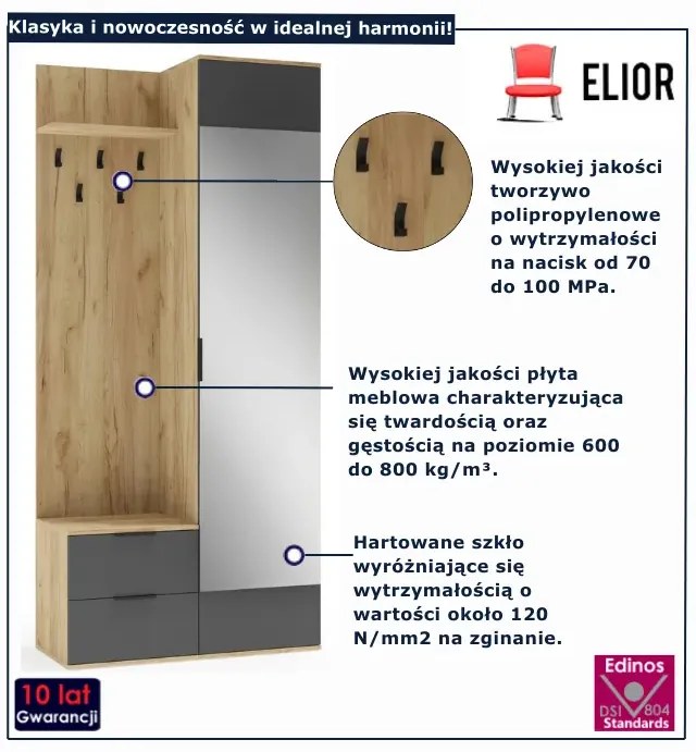 Garderoba nowoczesna dąb złoty + antracyt K6-F95