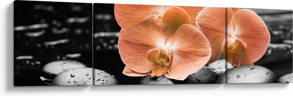 Obraz - Pomarańczowe orchidee (170x50 cm)