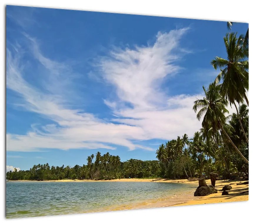 Obraz plaży (70x50 cm)