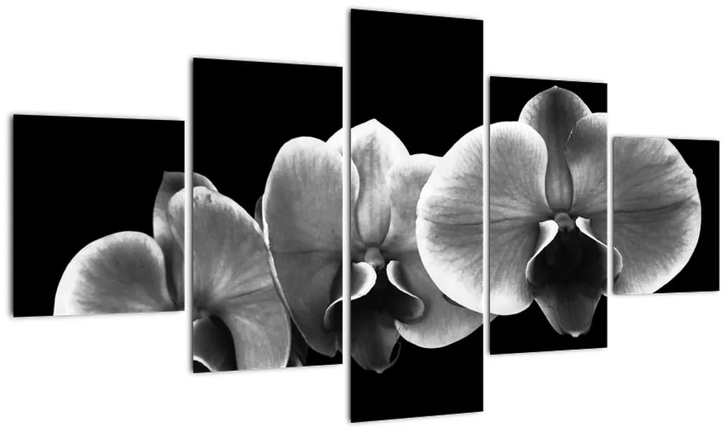 Obraz kwiatu orchidei (125x70 cm)