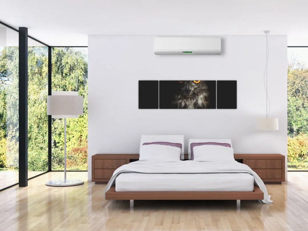 Obraz sowy (170x50 cm)