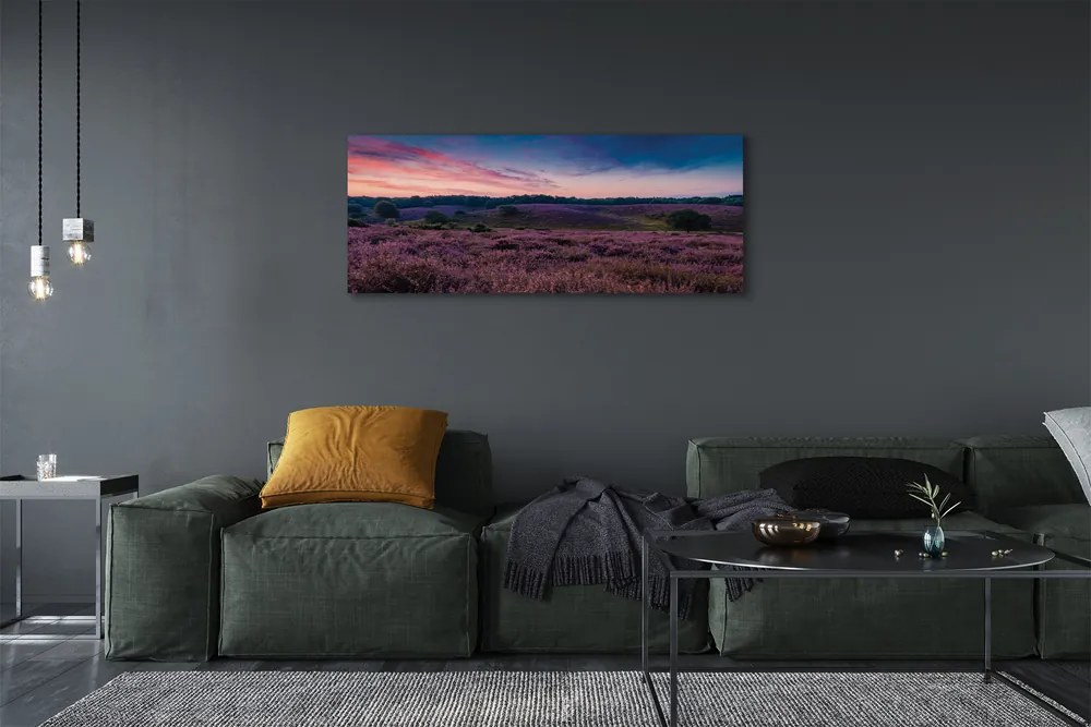 Obraz na płótnie Pole Wrzosów