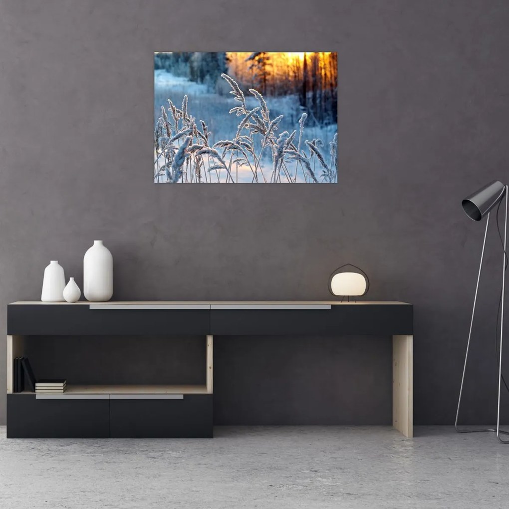 Obraz - Zimowa łąka (70x50 cm)