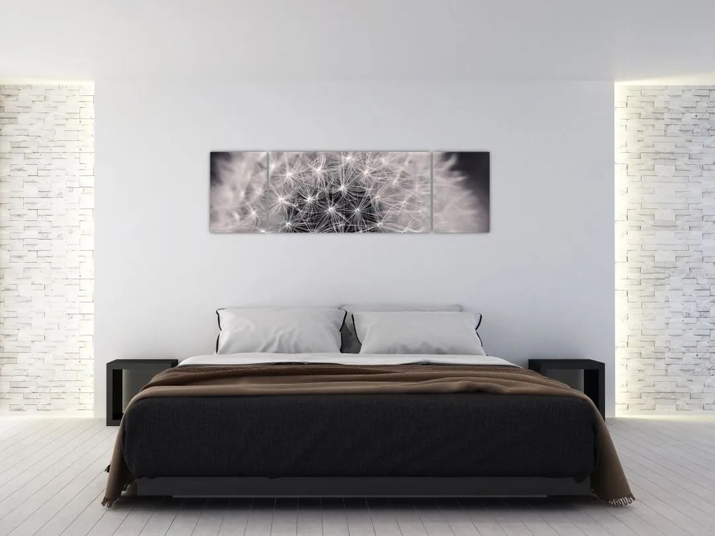 Obraz dmuchawca (170x50 cm)