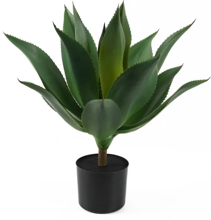Sztuczny sukulent (wysokość 56 cm) – PT LIVING