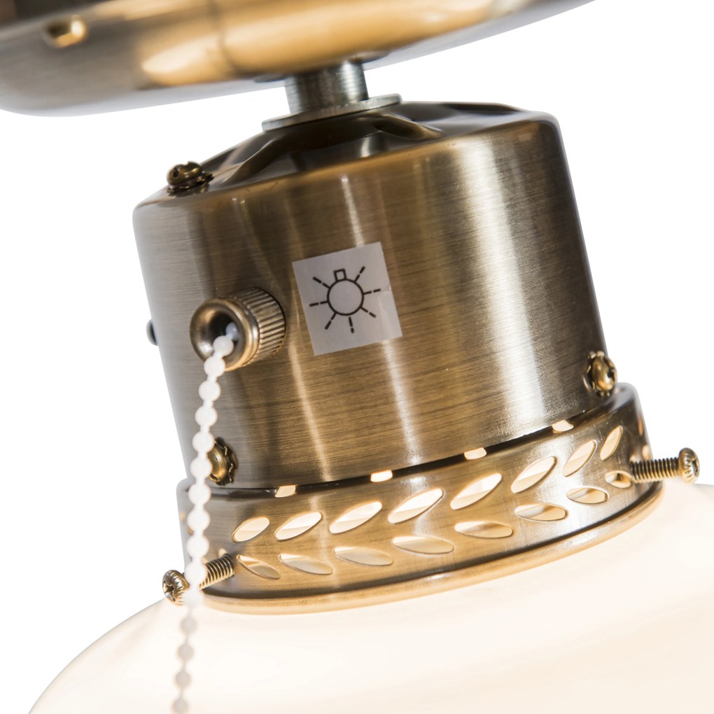 Industrialny wentylator sufitowy z oświetleniem 100 cm drewno - Wind