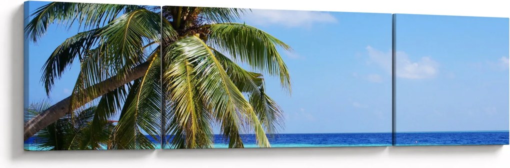 Obraz palmy na plaży (170x50 cm)