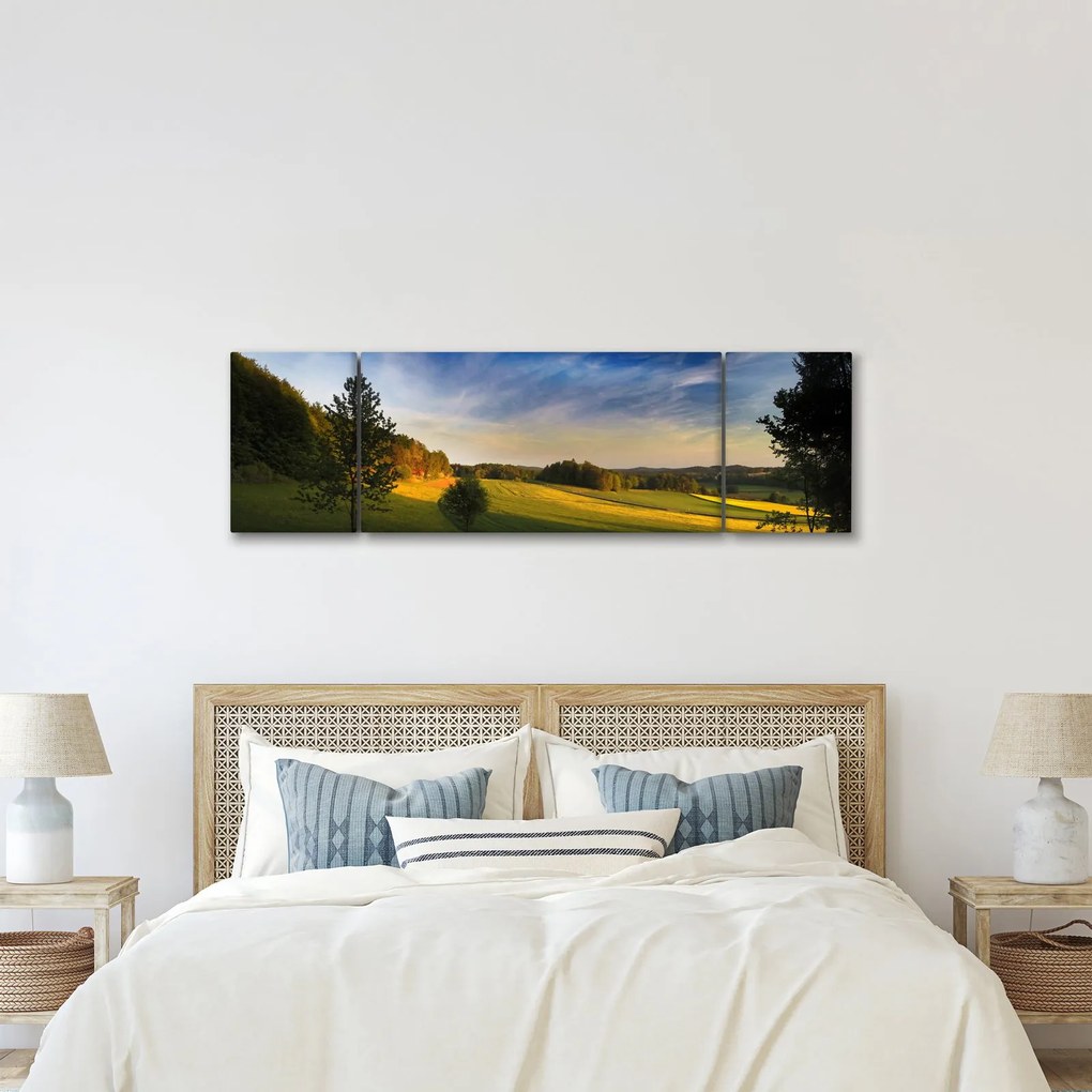 Obraz - Górska łąka (170x50 cm)