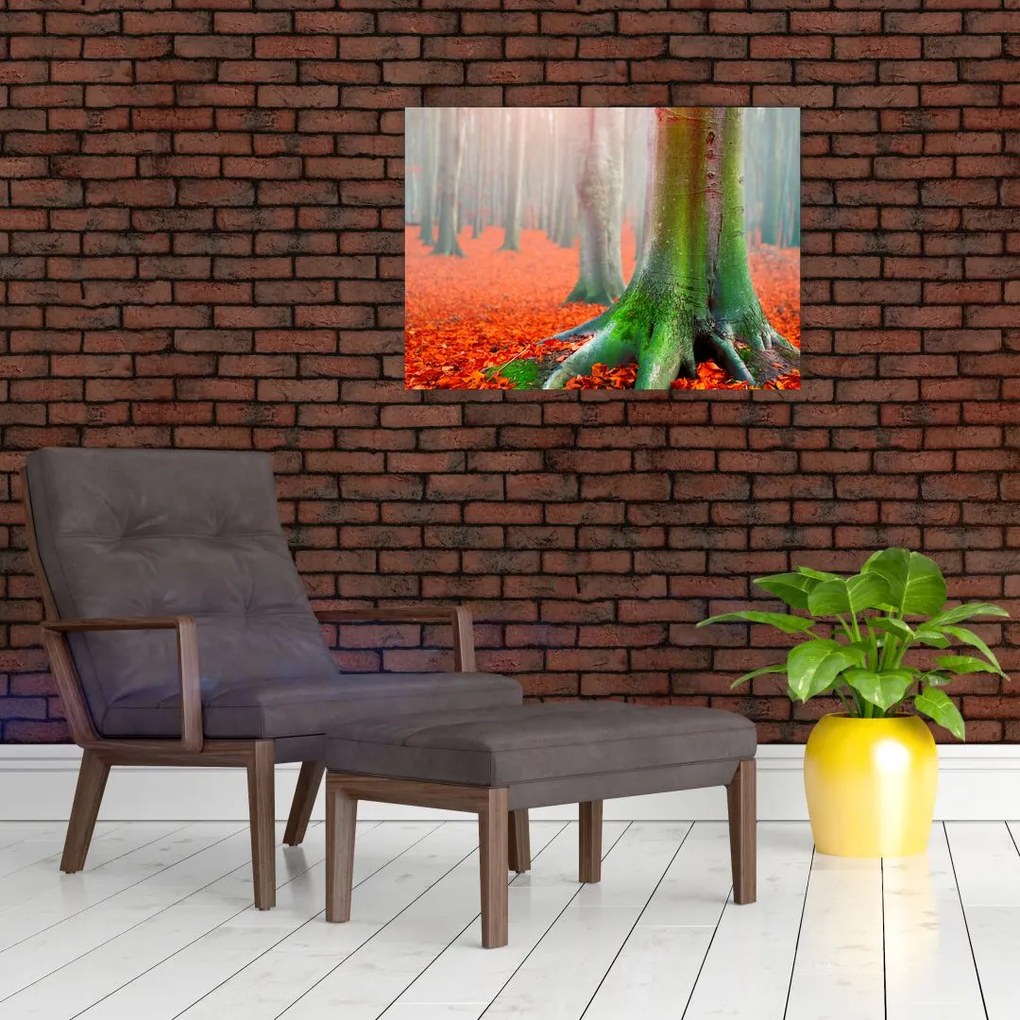 Obraz na szkle - drzewa (70x50 cm)