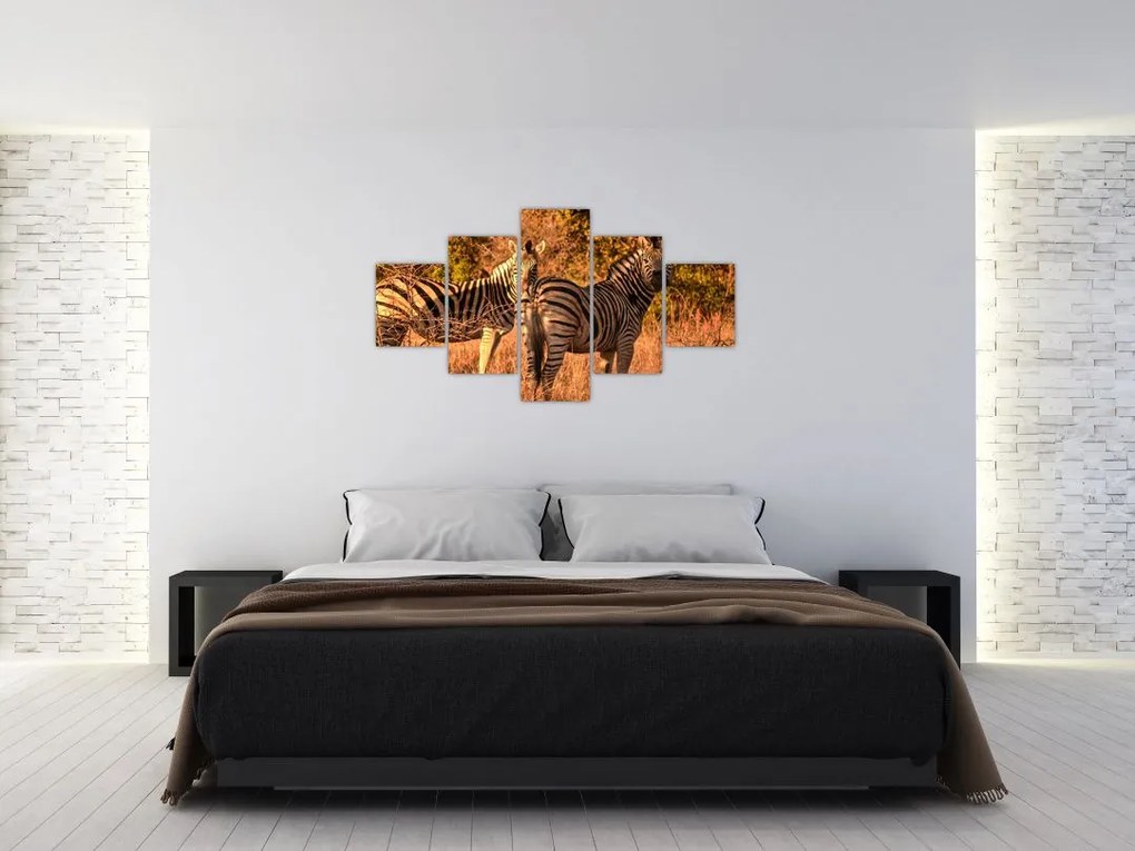Obraz zebr (125x70 cm)