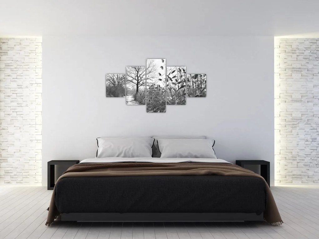Obraz - Pola w zimie (125x70 cm)