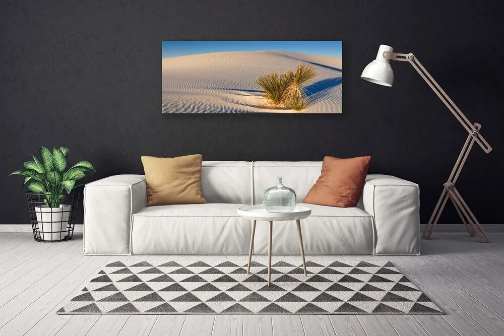 Obraz na płótnie Piaszczysty Pejzaż Pustynny
