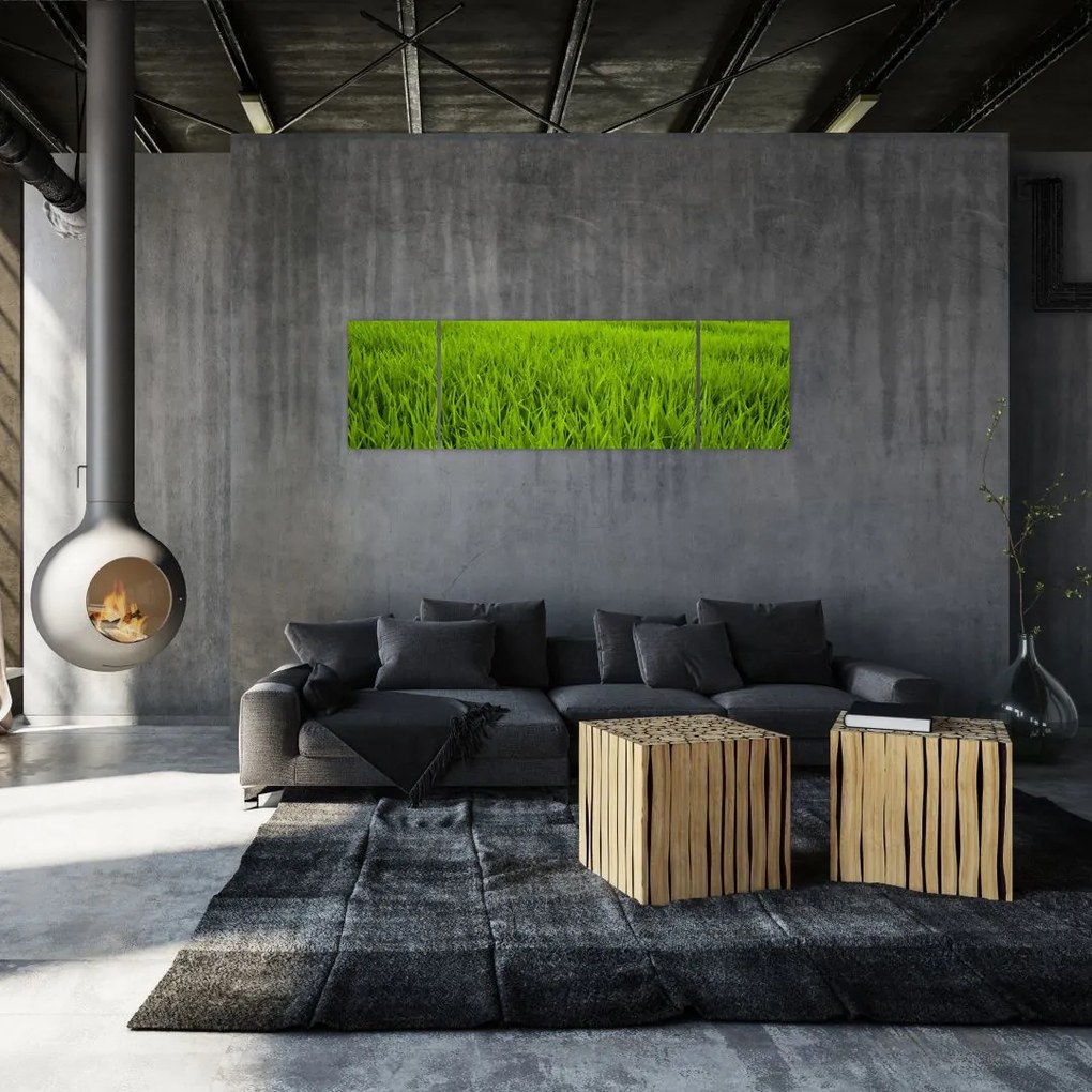 Obraz trawy (170x50 cm)