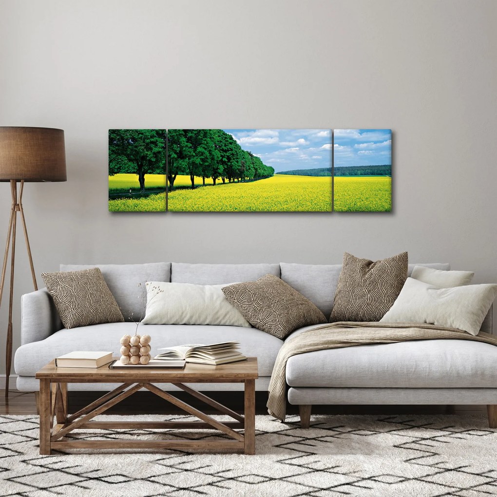 Obraz pola z aleją (170x50 cm)