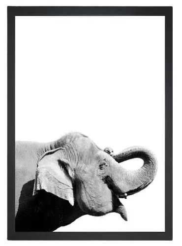 Obraz 24x29 cm Damarion Elephant – Vavien Artwork