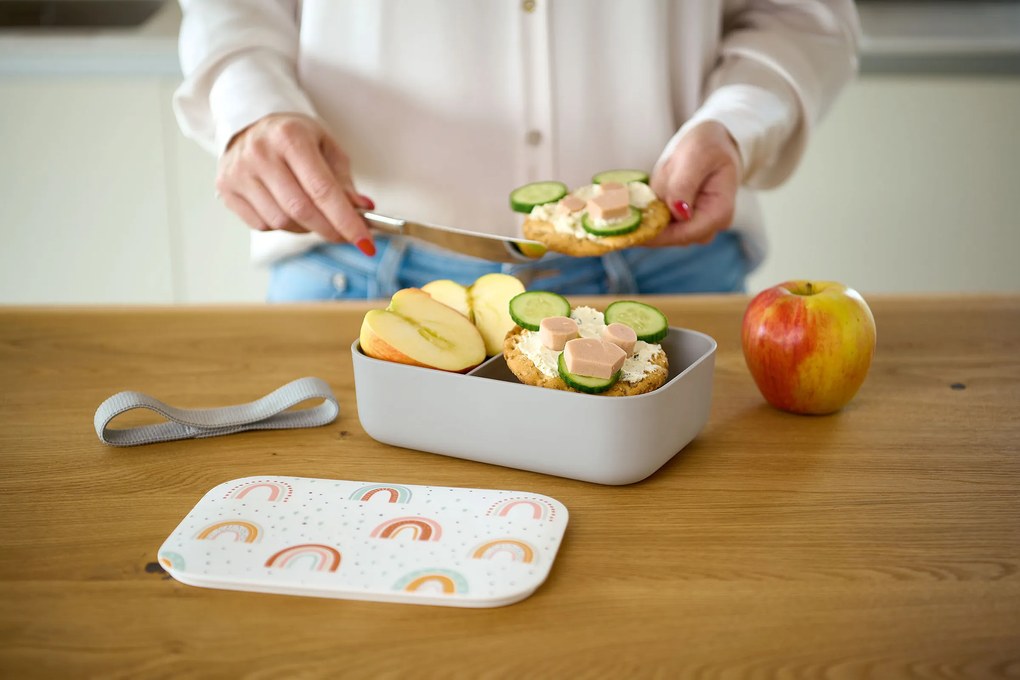 Plastikowy lunchbox, 19 x 12,5 x 6,5 cm