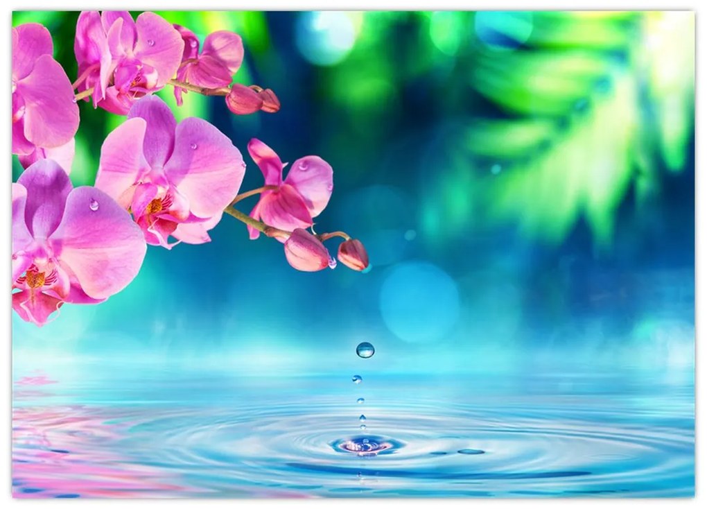 Obraz - Orchidea (70x50 cm)