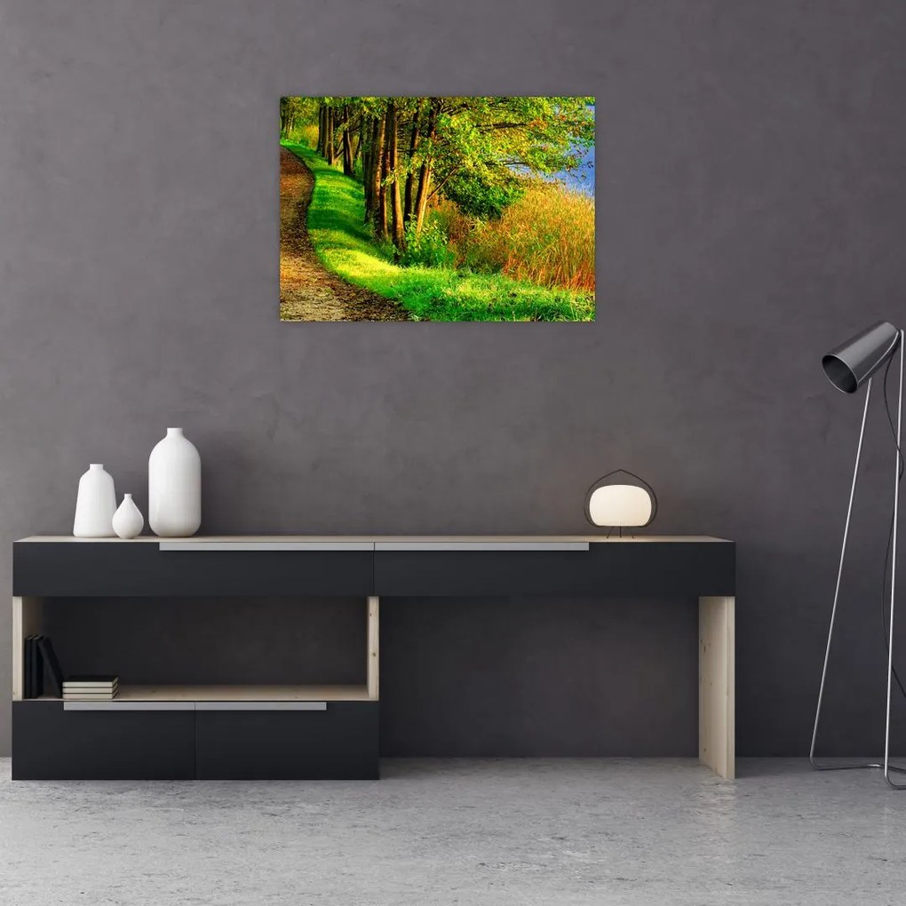 Obraz szlaku wzdłuż wody (70x50 cm)