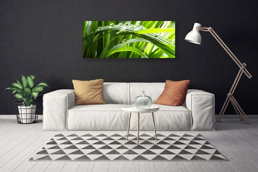 Obraz canvas Świeżość Poranka: Trawa i Rosa