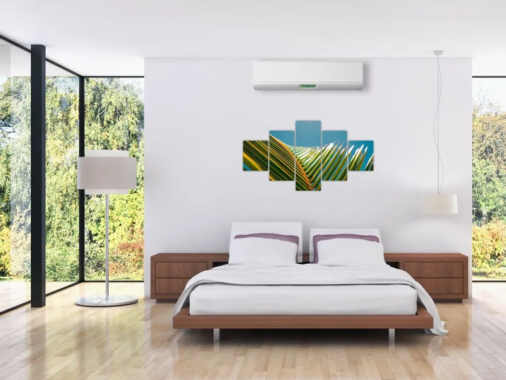 Obraz - Detal liścia palmowego (125x70 cm)