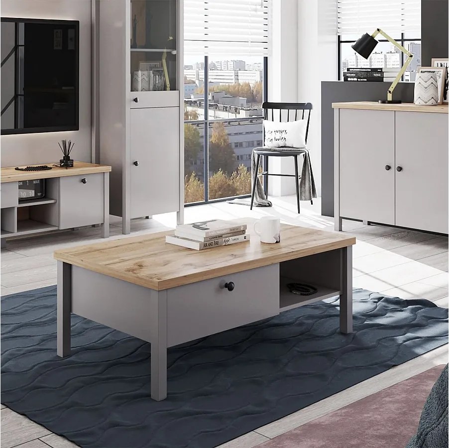 Stolik kawowy 110x40,5x60 cm szary