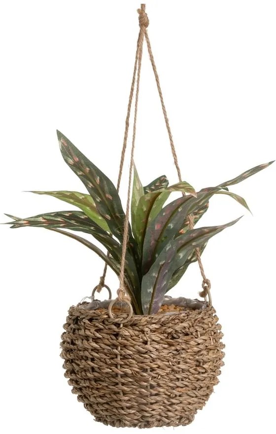 Sztuczna roślina (wysokość 25 cm) – Casa Selección