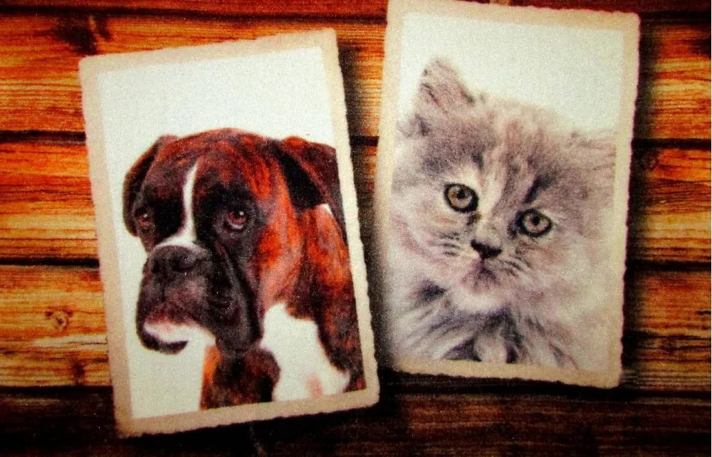 Wycieraczka Deco Star Album 40 cm x 60 cm