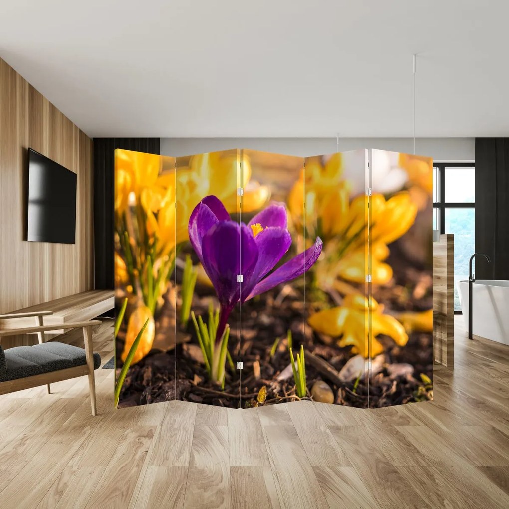 Parawan - Fioletowy kwiat (210x170 cm)