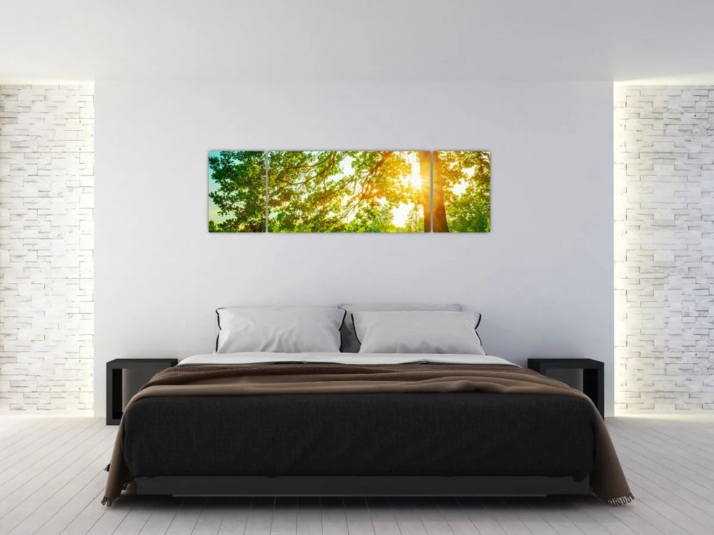 Obraz - Słoneczny Las (170x50 cm)
