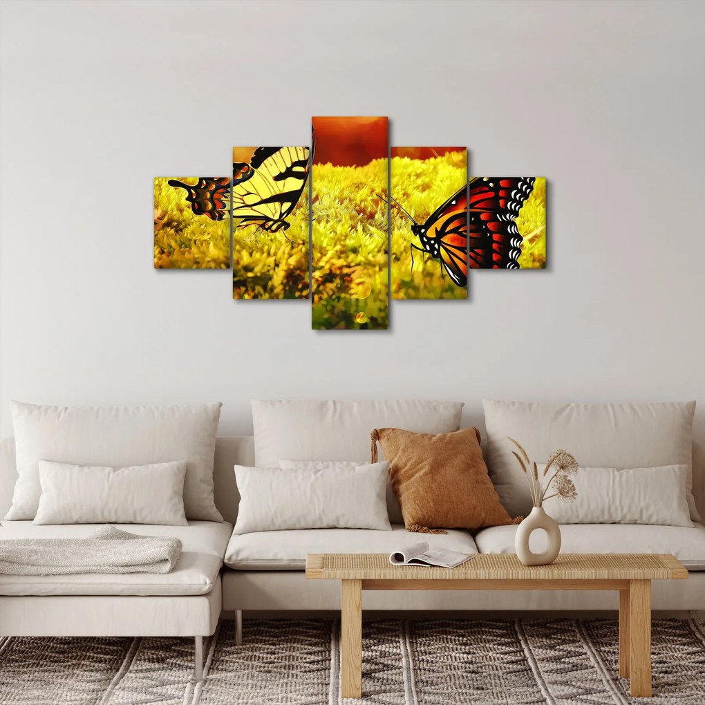 Obraz motyli (125x70 cm)