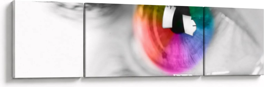 Obraz - Irys (170x50 cm)