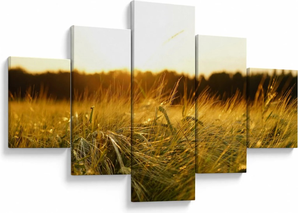 Obraz zroszonej trawy (125x70 cm)