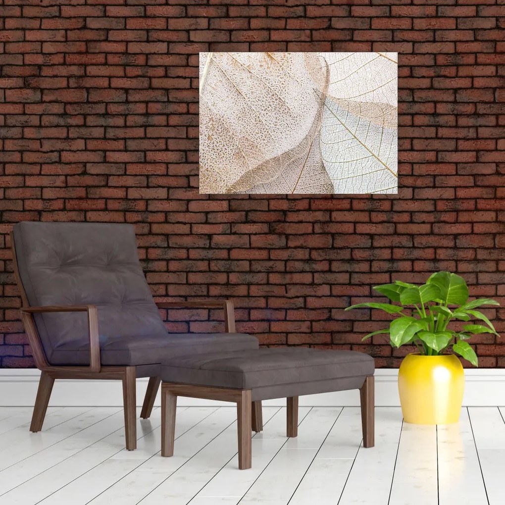 Obraz - Beżowe liście (70x50 cm)