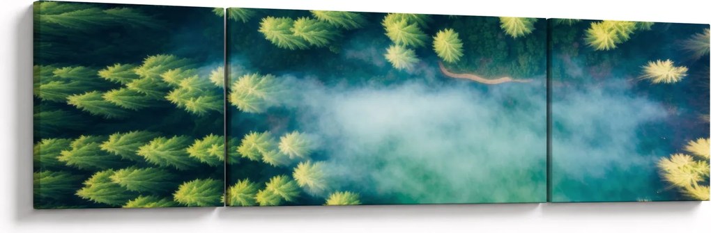 Obraz - Las spowity mgłą (170x50 cm)