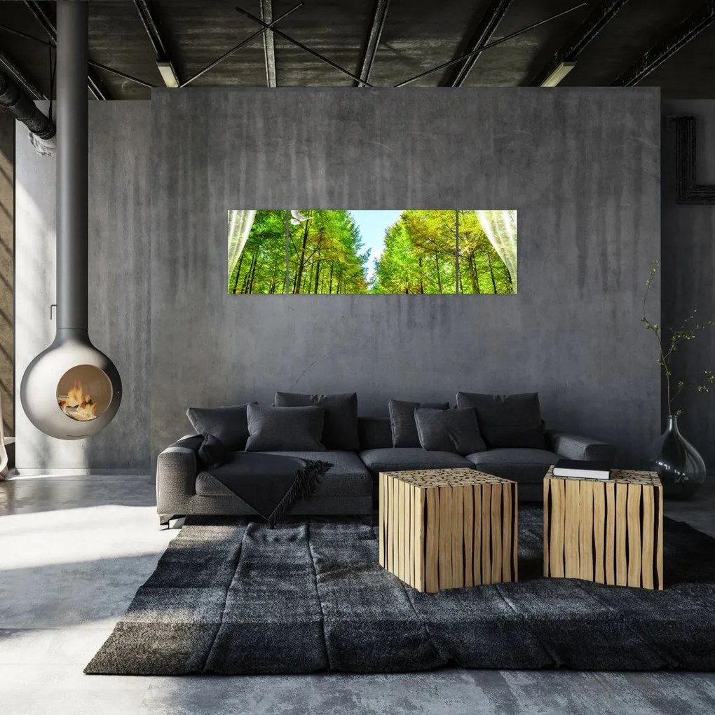 Obraz - Widok na las (170x50 cm)